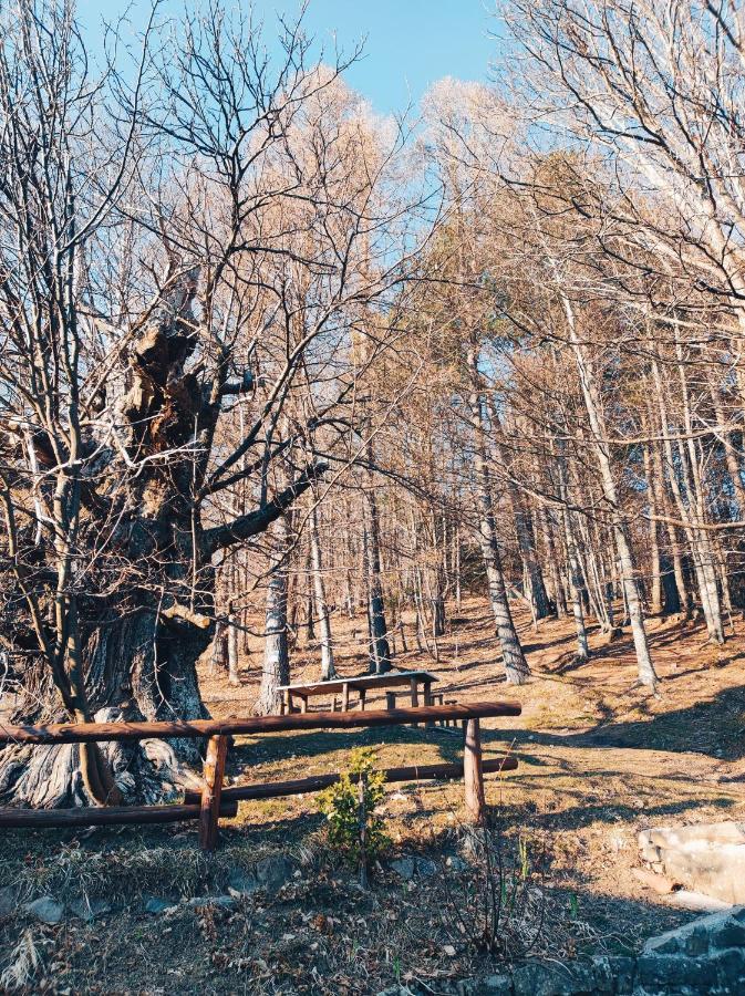 Agriturismo Il Fosso Cutigliano Dış mekan fotoğraf